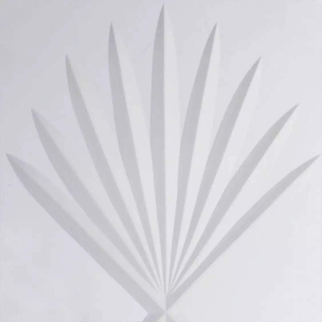 来自日本的最顶级玻璃——江户切子|Yoko美物