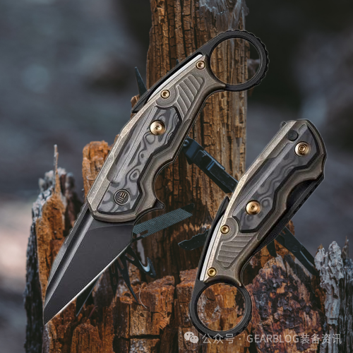 Maciej Torbé 为 WE 带来新的作品“庭院鸟”