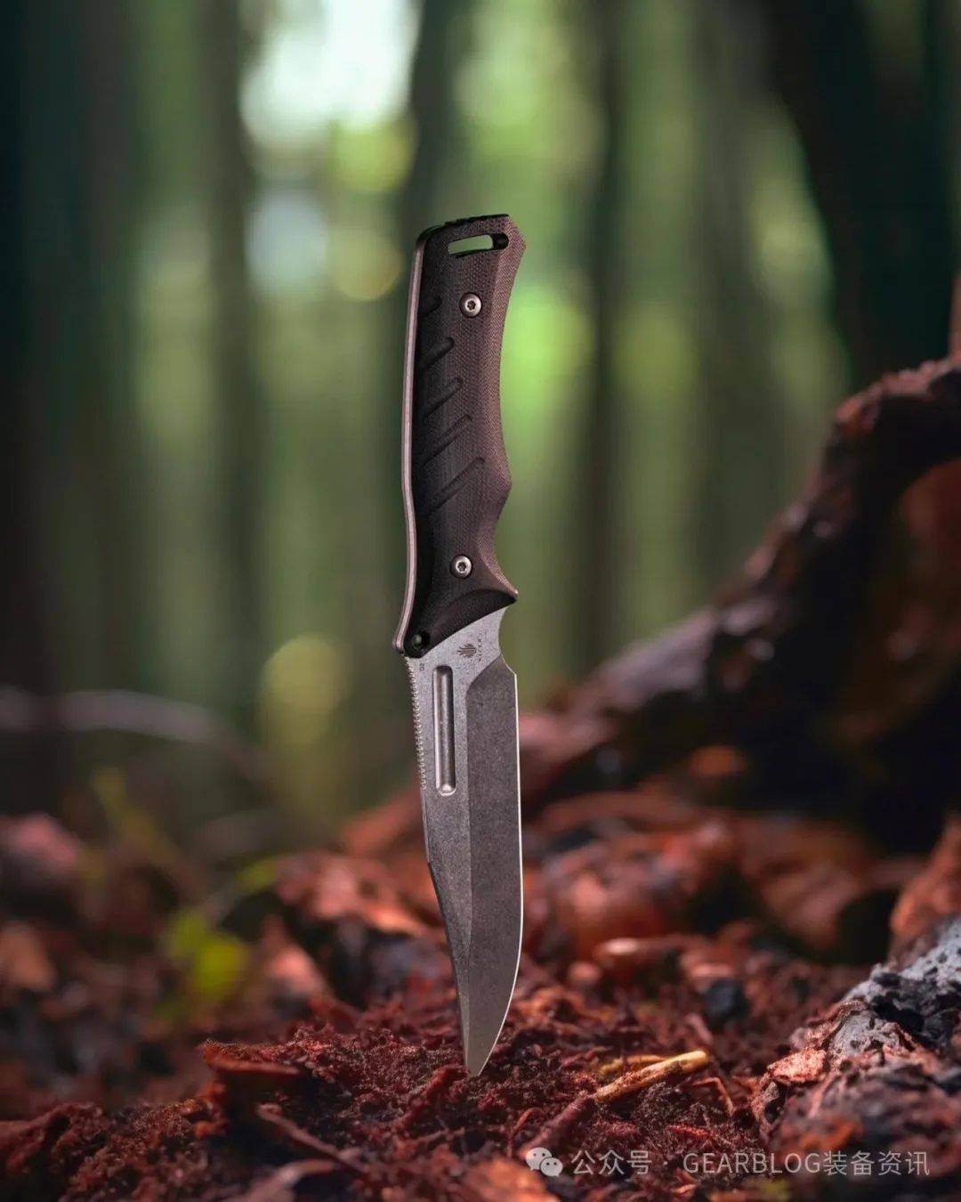 Kizer Knives 优秀作品欣赏