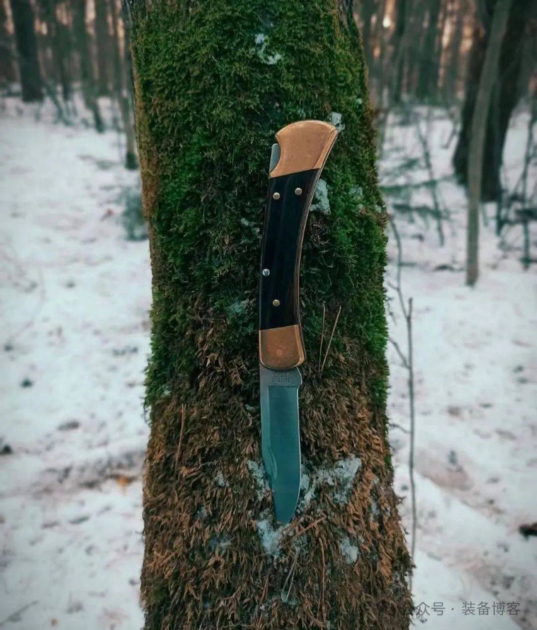 2024年了,巴克110是否依旧坚挺?- 装备博客 2024年了,巴克110是否依旧坚挺?- 装备博客