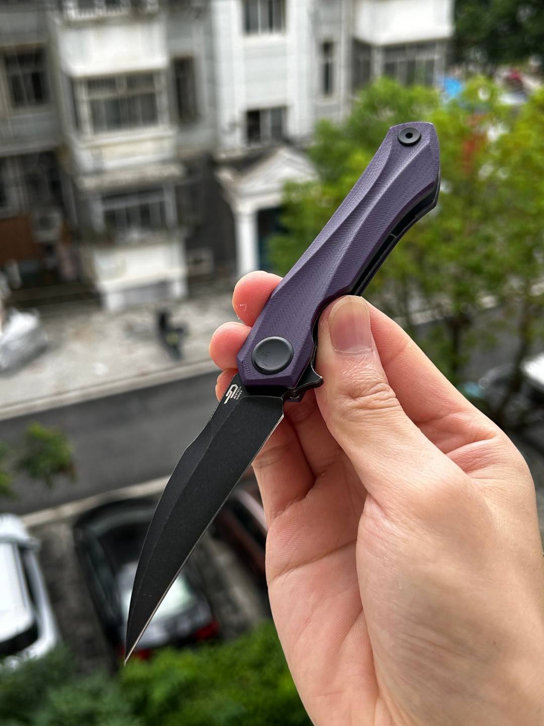 Bestech Ivy 14C28N钢 G10柄 BG59G 紫色 449