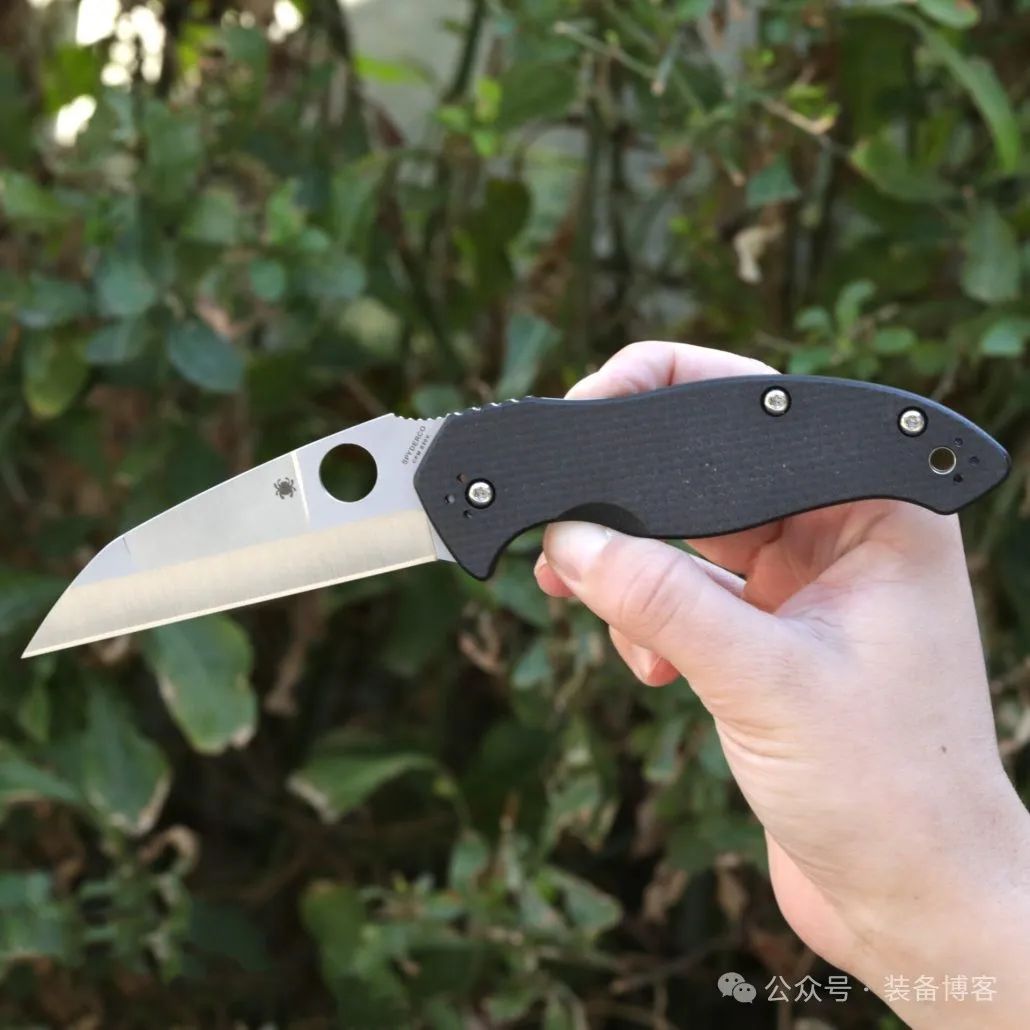 Spyderco 卡尼斯：鸟喙式爱好者必入的选择之一 - 装备博客