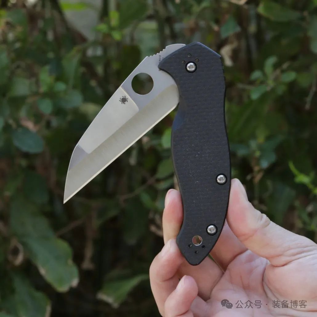Spyderco 卡尼斯：鸟喙式爱好者必入的选择之一 - 装备博客