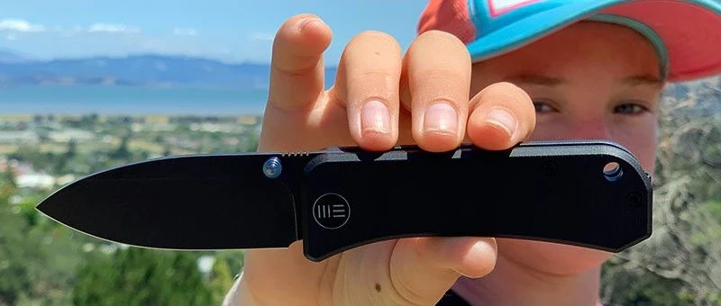 WE KNIVES Banter 分享：外观讨喜的绅士折刀