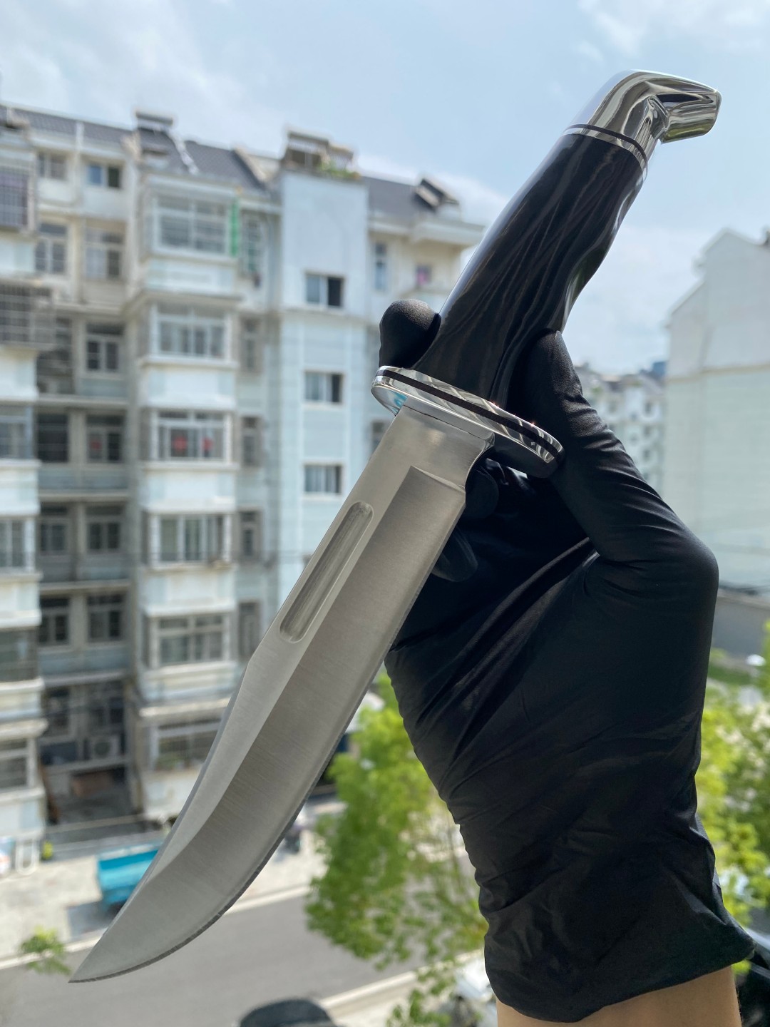 Buck Knives 0119BKS-B 420HC钢 黑色酚醛树脂手柄 带铝制护手和柄头 皮鞘 660