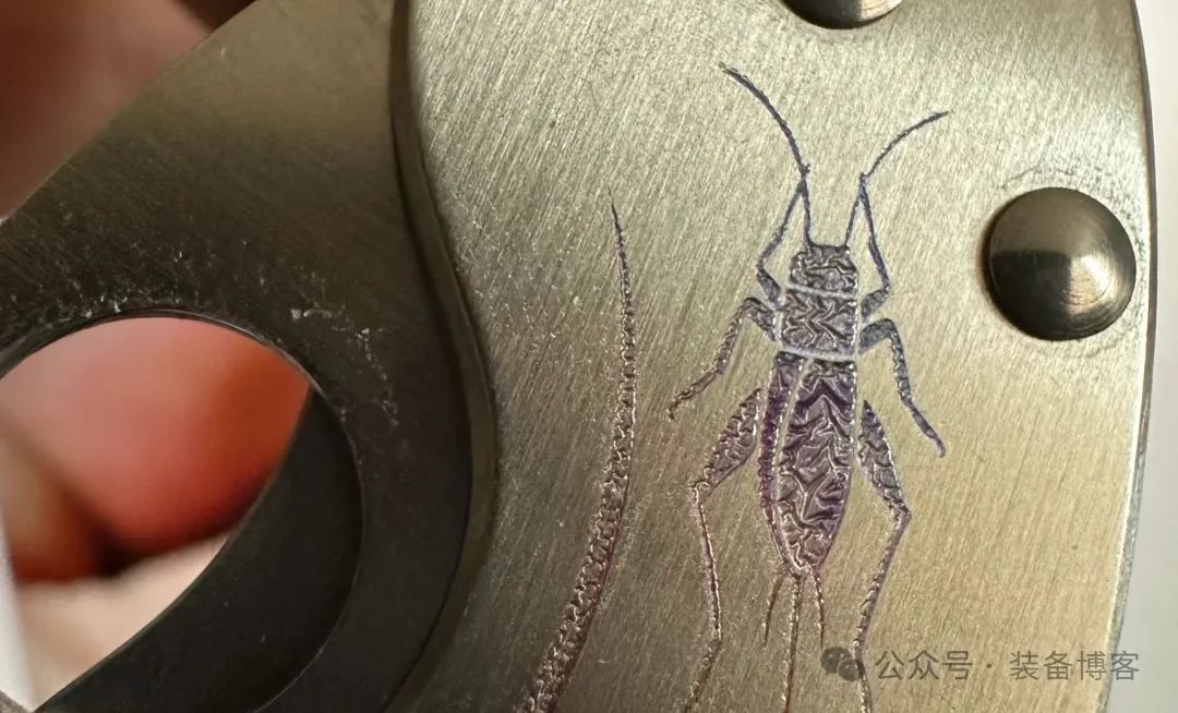 Spyderco C29:可爱圆润的掌中宝 - 装备博客 Spyderco C29:可爱圆润的掌中宝 - 装备博客