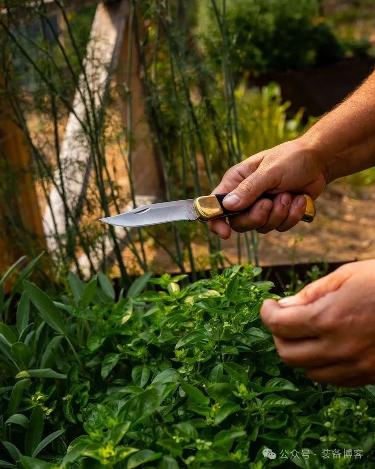 巴克110:20世纪最具代表性的20种刀具之一 - 装备博客 巴克110:20世纪最具代表性的20种刀具之一 - 装备博客