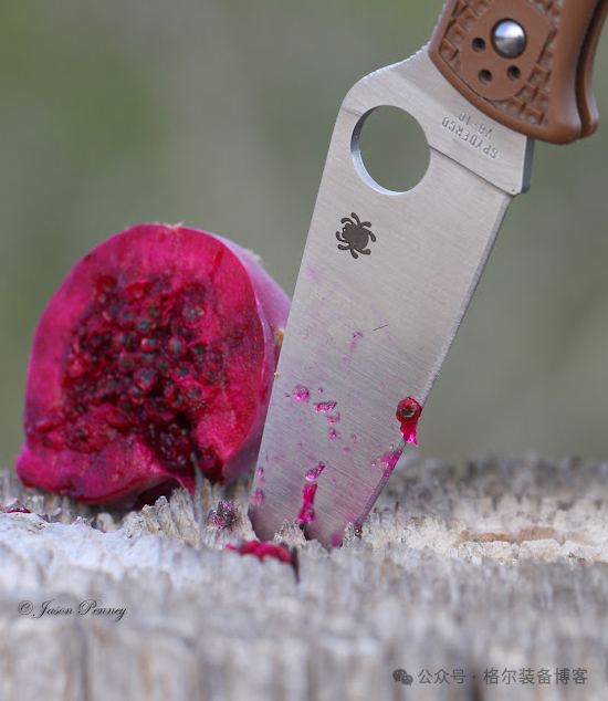 Spyderco C10:经典战术折刀的永恒魅力 - 装备博客 Spyderco C10:经典战术折刀的永恒魅力 - 装备博客