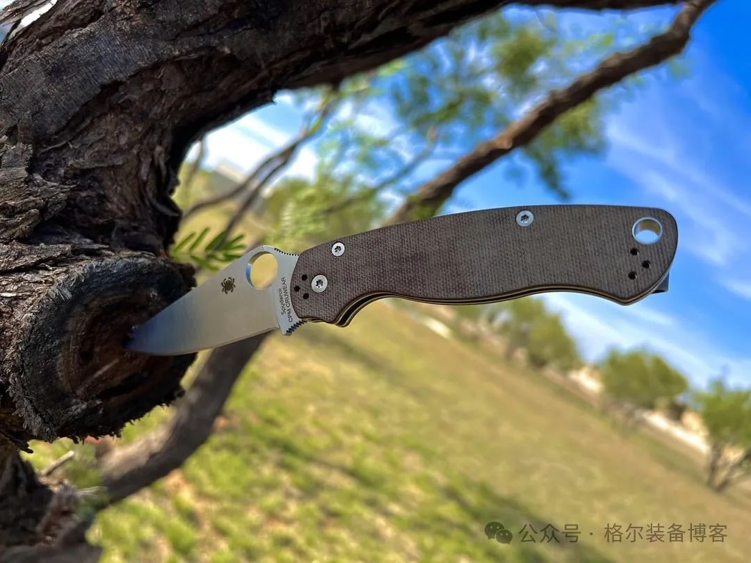 Spyderco C81 测评:战术折刀中的全能战士 - 装备博客 Spyderco C81 测评:战术折刀中的全能战士 - 装备博客
