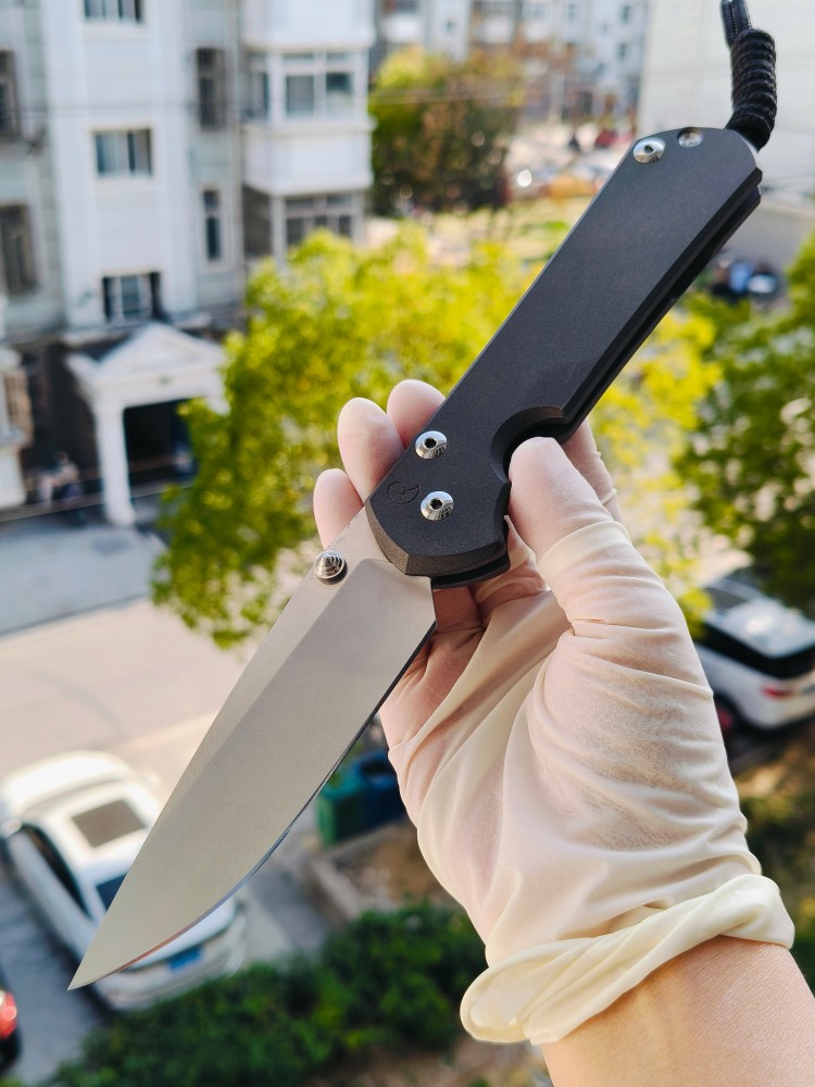 【寄售】Chris Reeve Large Sebenza 31 S45VN钢 钛柄 双银色推刀钮 4200