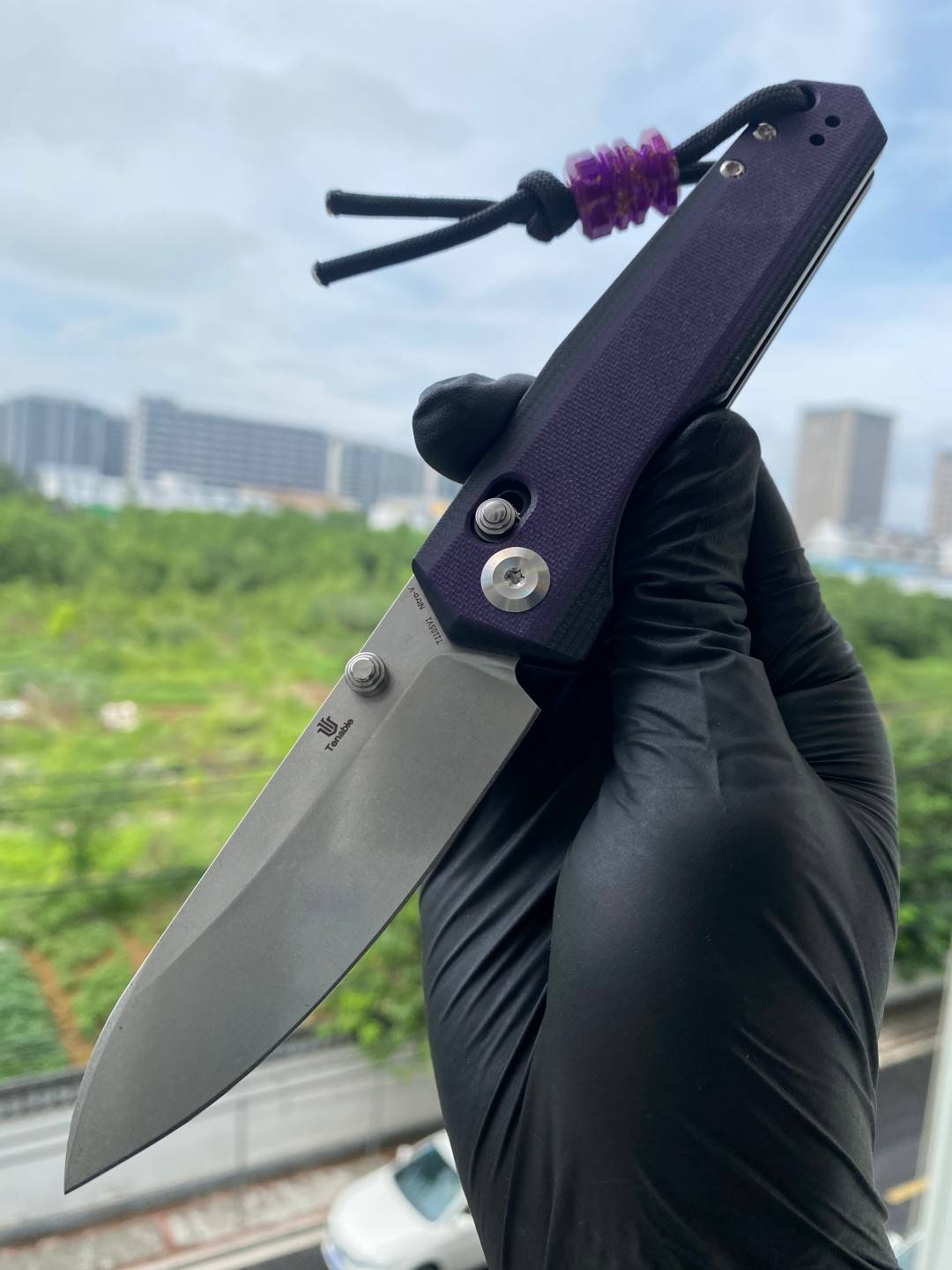 Tenable Beaver  Nitro-V钢 G10手柄 T1105V1 黑紫色 380