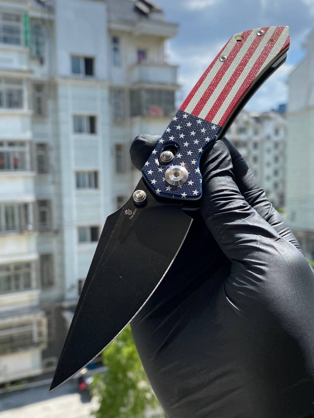 Tenable Fenrir Nitro-V钢 翡翠G10手柄 T1034V9 美国国旗 480