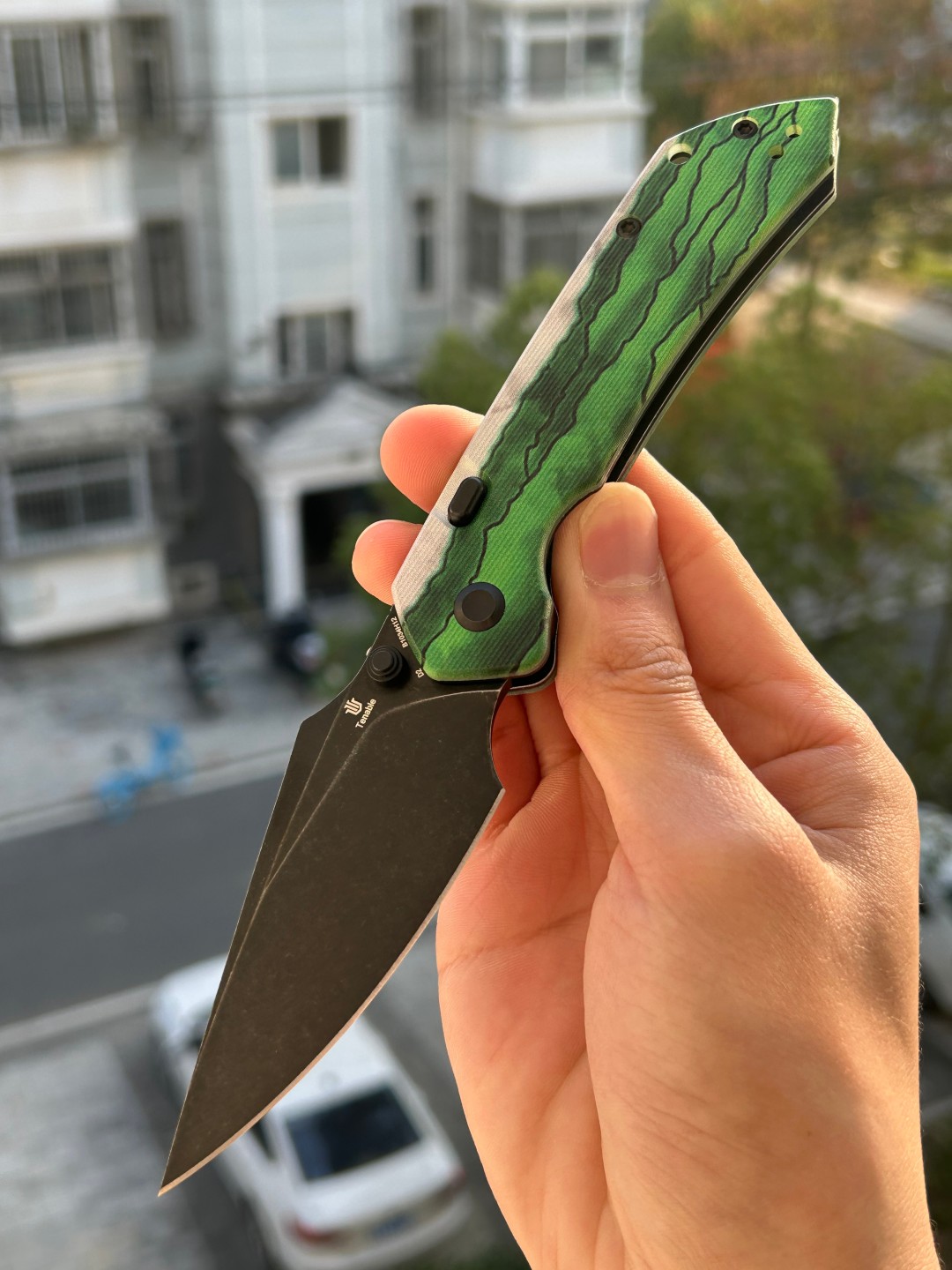 Tenable Fenrir D2钢 Jade G10手柄 B1034H12 绿雾色 425