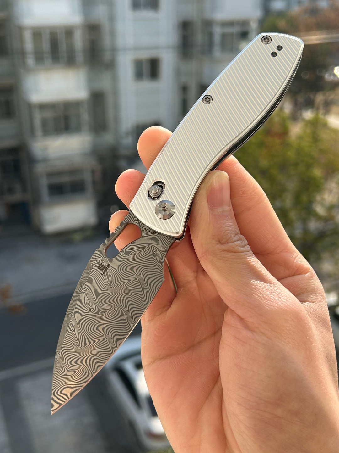 Tenable Heron 大马士革钢 铝制手柄 B2124V3 银色 600