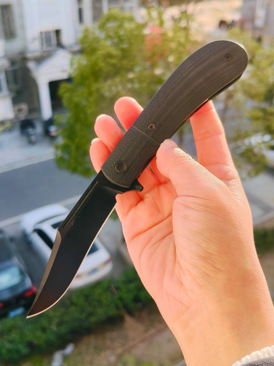 Sao Knives CPM-20CV钢 不锈钢内衬+G10柄 口袋刀 SK2701 黑色