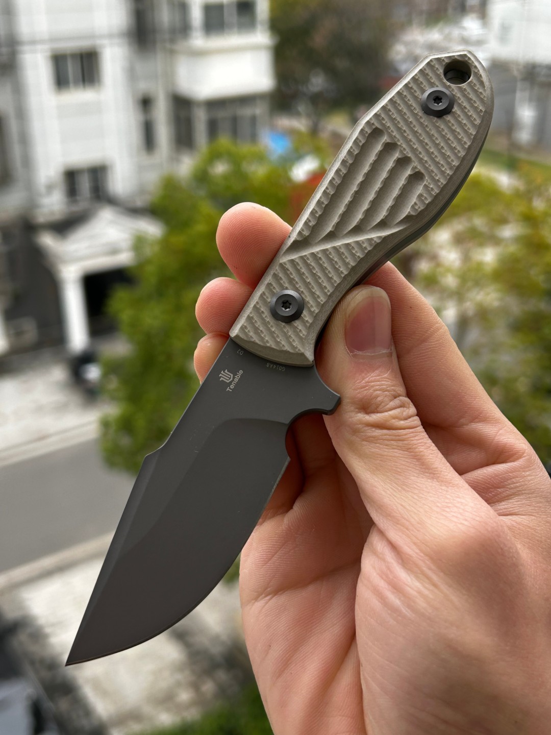 Tenable Tiny Dancer D2钢 G10手柄 G014A8 卡其色 380