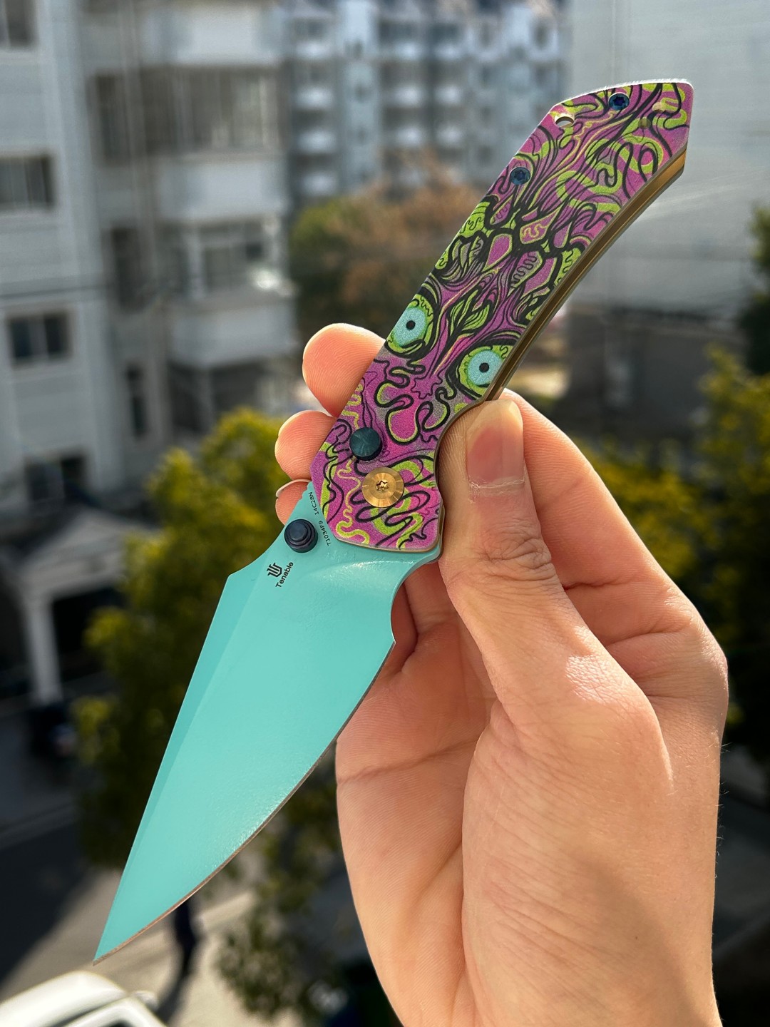 Tenable Fenrir 14C28N钢 G10手柄 T1034F9 紫色印花 454