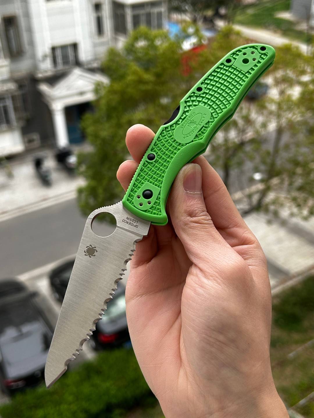 Spyderco  C91FSGR2   Pacific Salt 2  LC200N钢  FRN尼龙手柄  绿色  1200